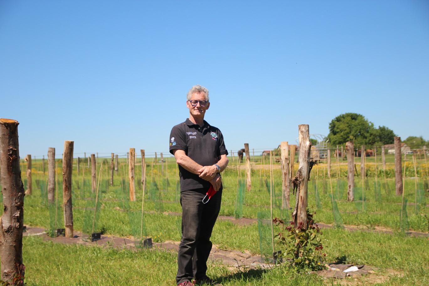 Yannick Jubault pose devant les rangs de vigne, au bout desquels a été planté un rosier. (c) Aletheia Press/ Benoit Delabre)