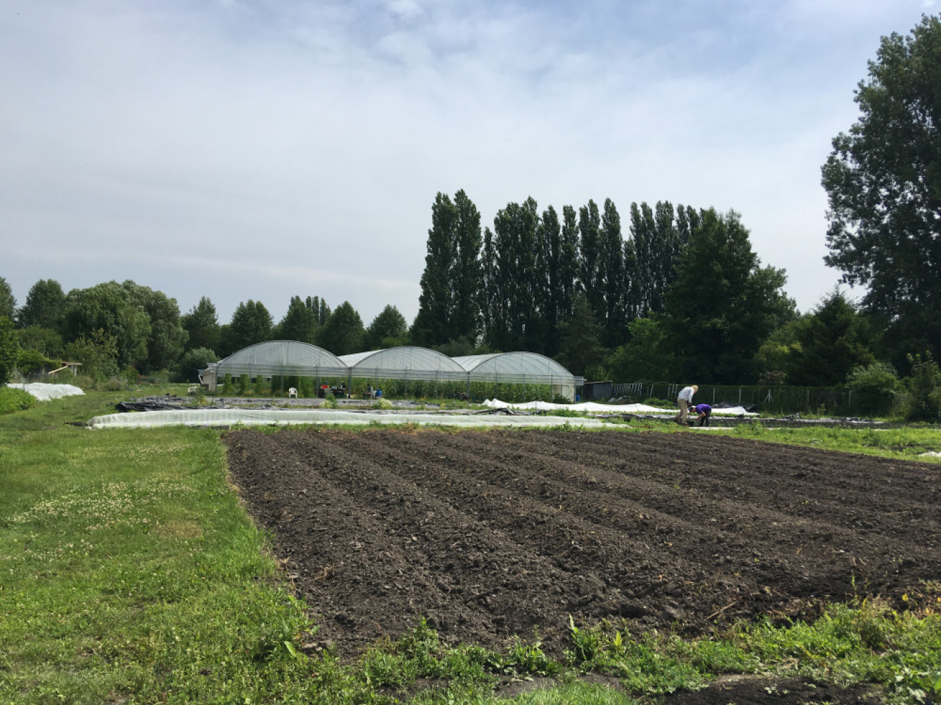 Les Hortillonnages ont particulièrement souffert cette année avec les inondations. ©Aletheia Press/ D. La Phung