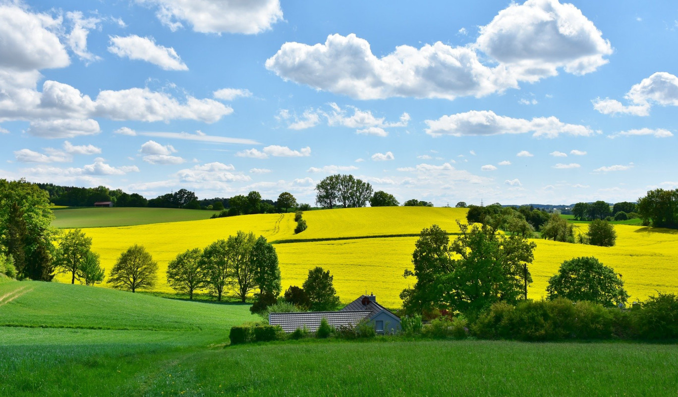 Le modèle agricole français peut-il être sauvé ?