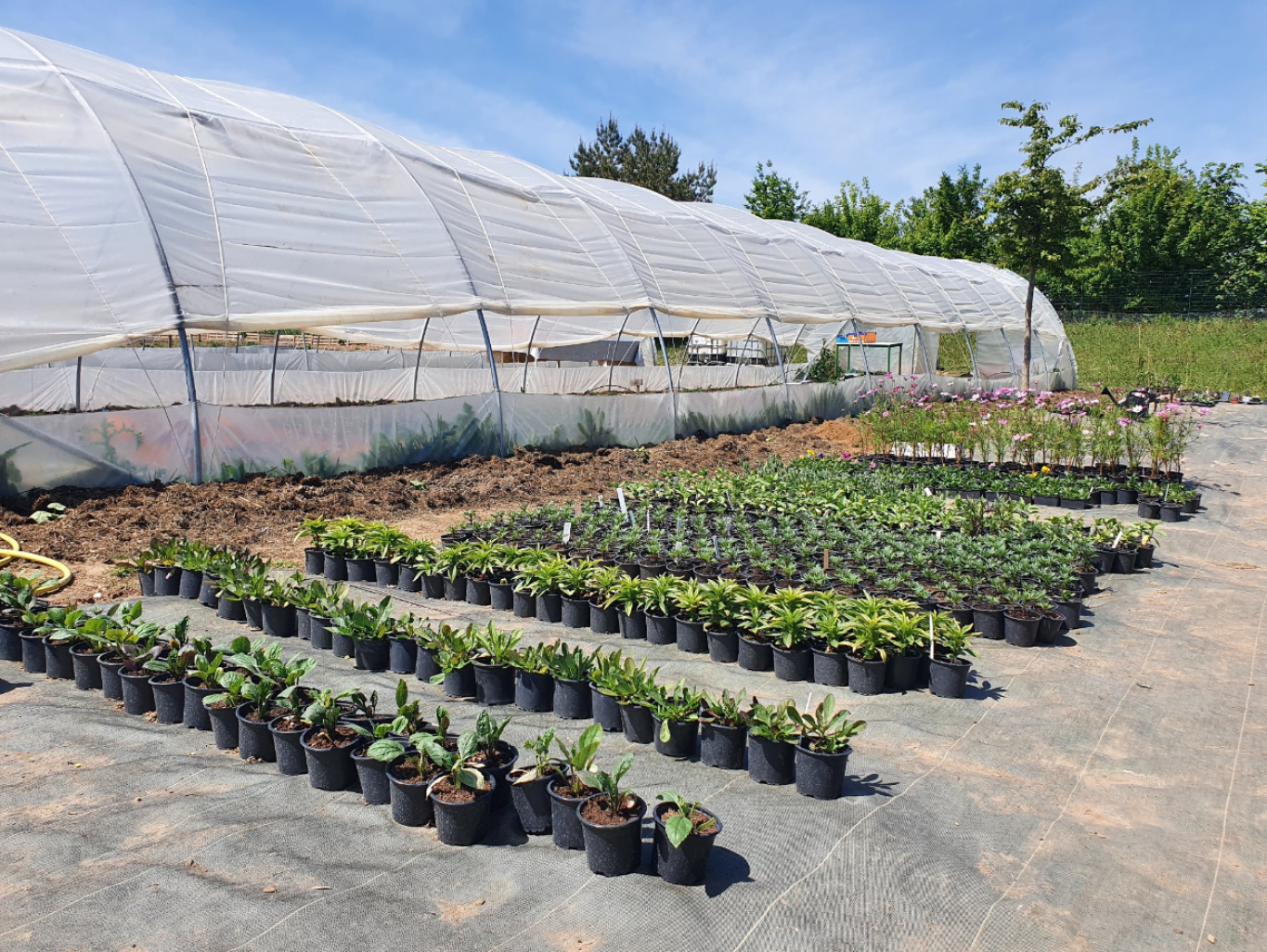 Le chantier d’insertion maraicher est installé sur trois hectares, au 6/8 Avenue du Beauvaisis à Beauvais. (© Hortibat)