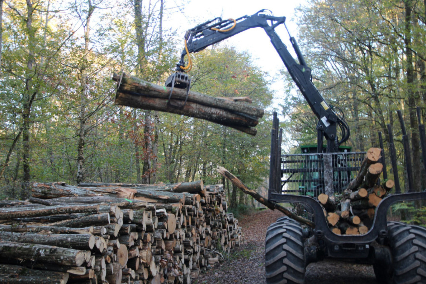 La filière bois est peu intégrée dans les Hauts-de-France. Le bois qui y est produit est exporté. ©Aletheia Press/ B.Delabre