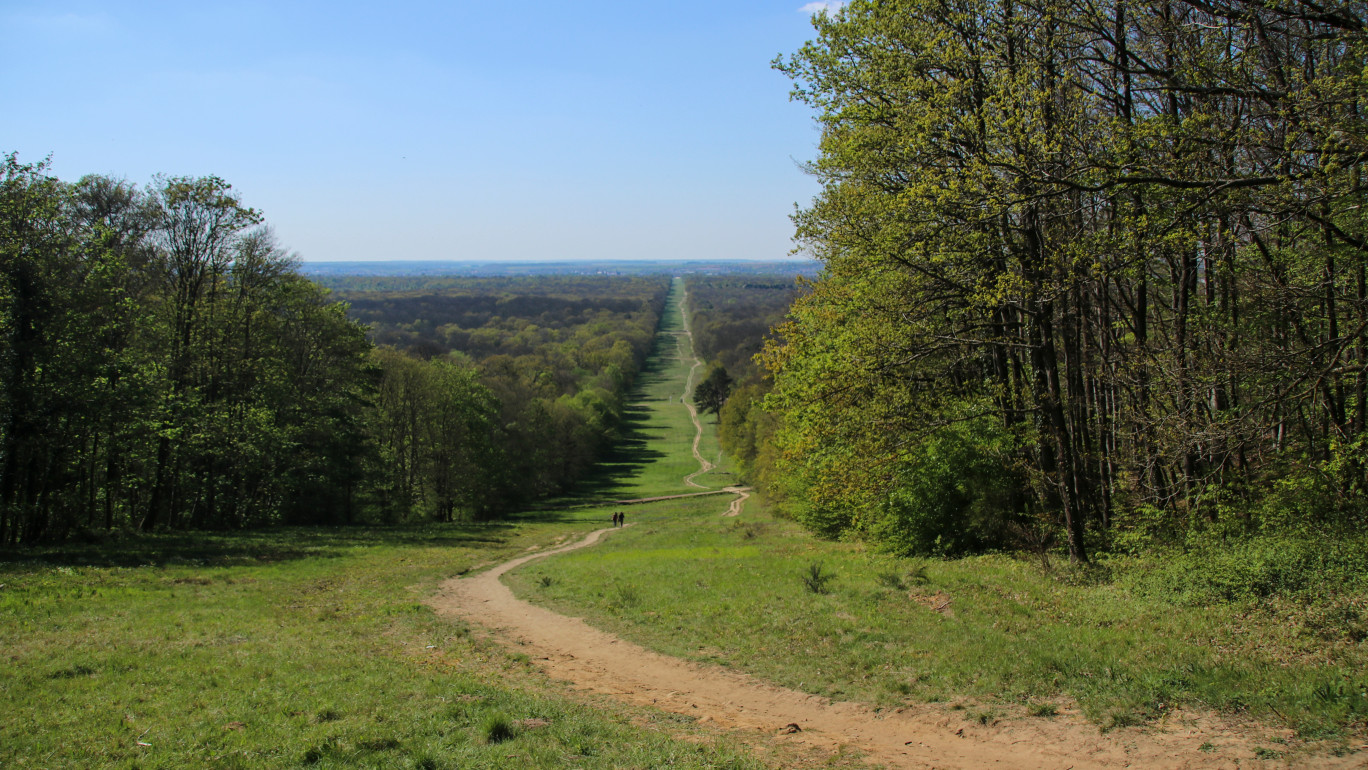 La forêt de Comipègne s'étend sur plus de 14 000 hectares. (c)Aude Landelle 