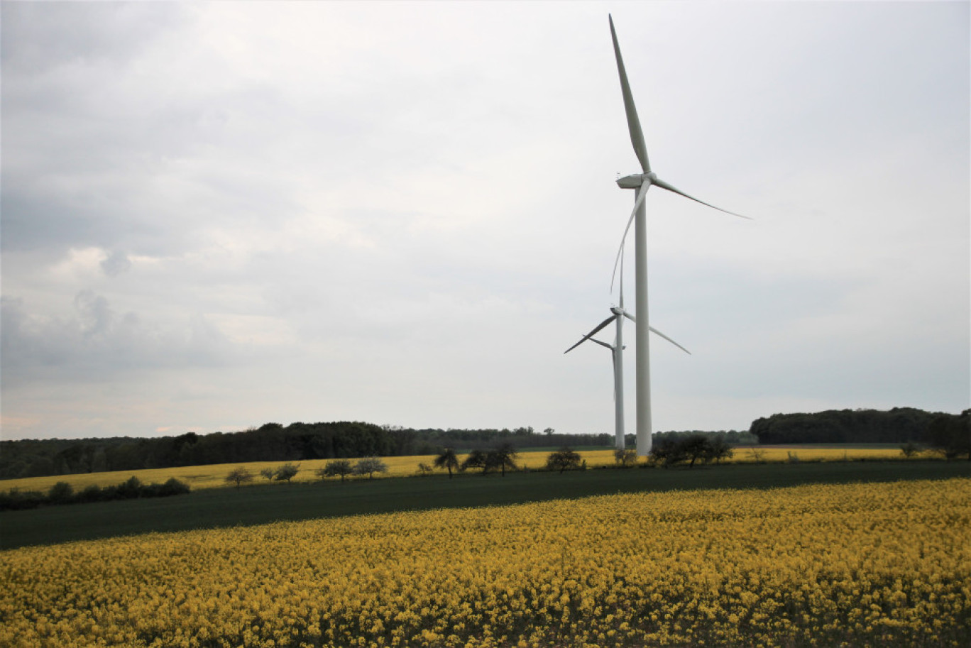 ETNEF estime qu’il est anormal de concentrer les efforts sur l’éolien et le solaire « qui ne représentent que 14% des enjeux des énergies renouvelables ». (© Aletheia Press / B.Delabre)