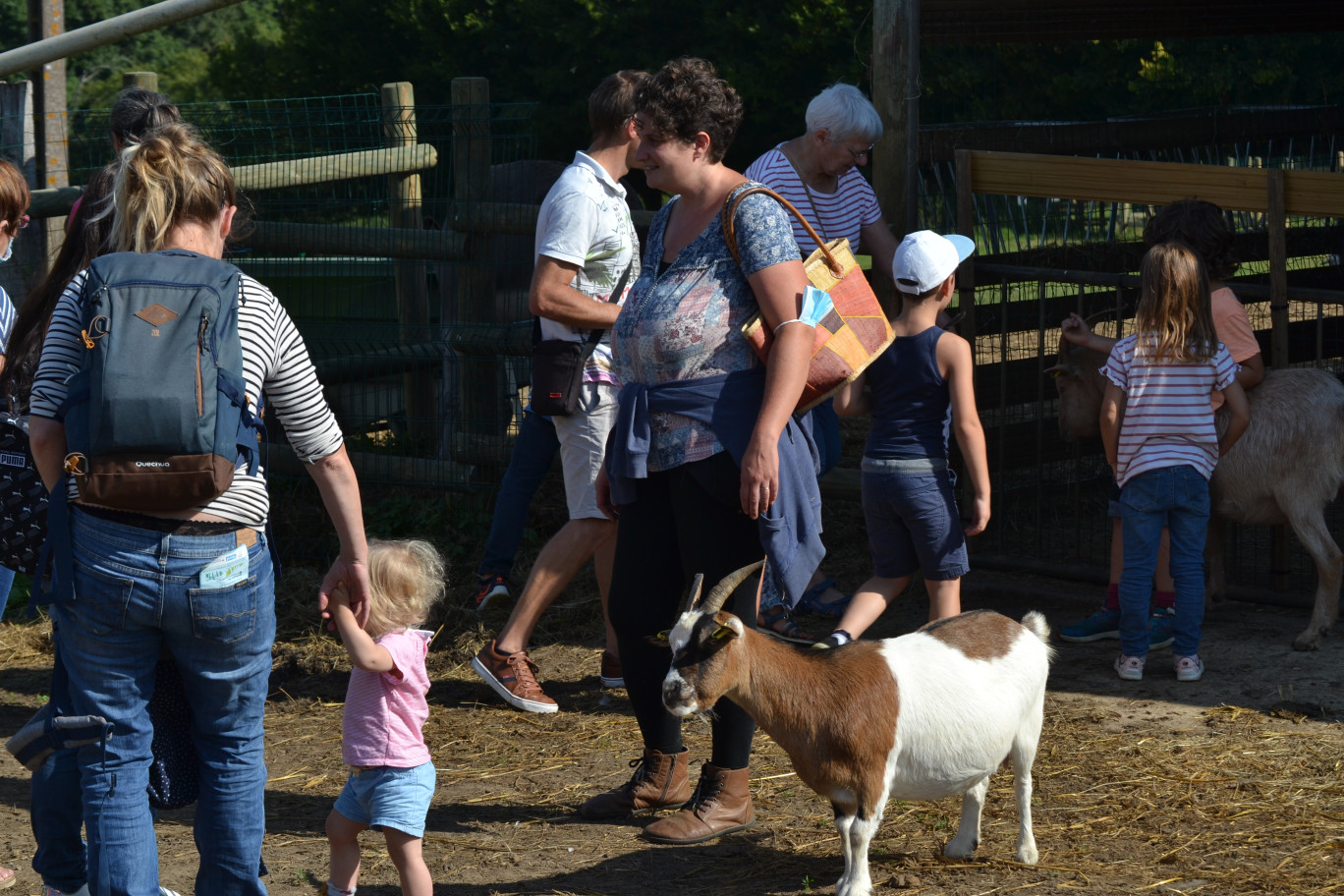 Lucie Le Moine (ici à côté d'une de ses chèvres) accueille petits et grands toute l'année. (© La Petite Bray'Tagne)