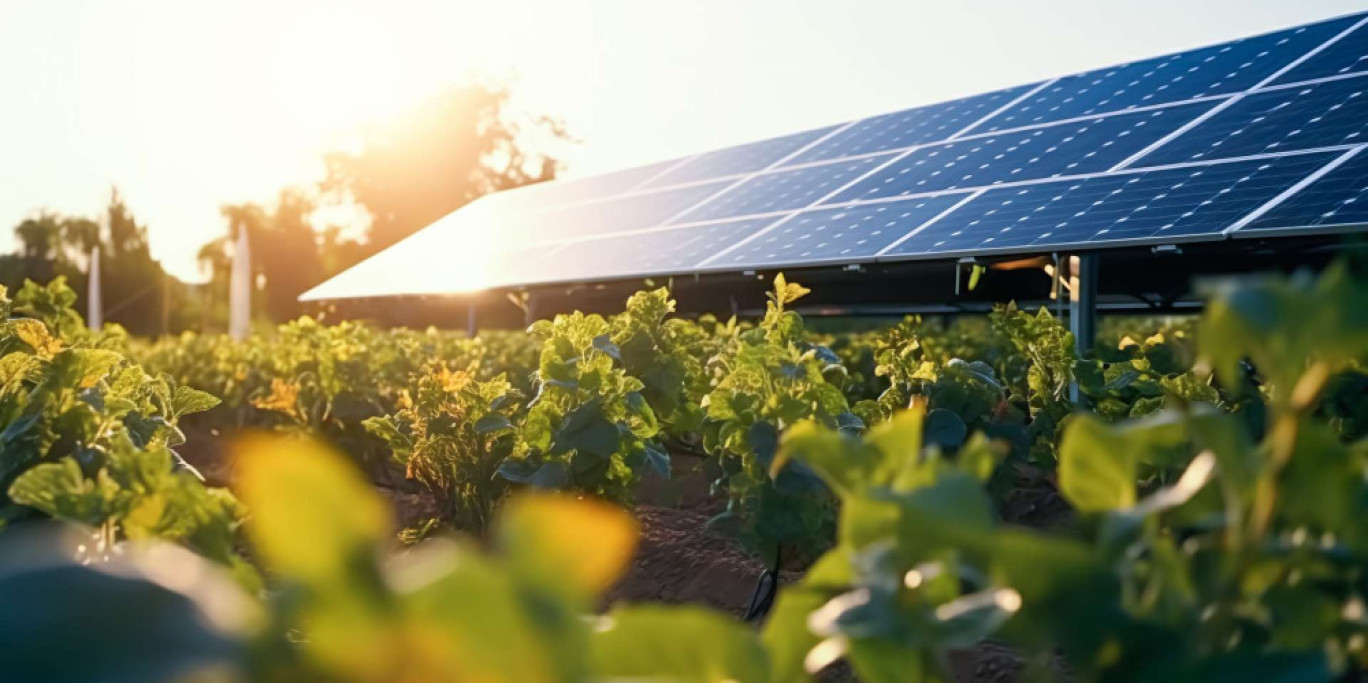 La Région entend renforcer l’accompagnement des agriculteurs dans le développement des projets d’énergies solaires photovoltaïques. (c)AdobeStock