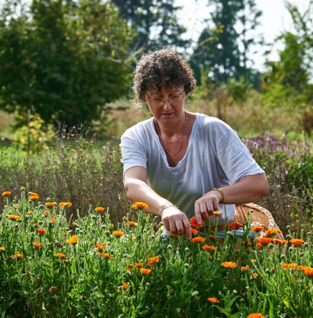 La production de plantes aromatiques bio de « papilles et camomille » se niche au cœur du « Jardin des partages », à Mesnil-Théribus. (© DB)