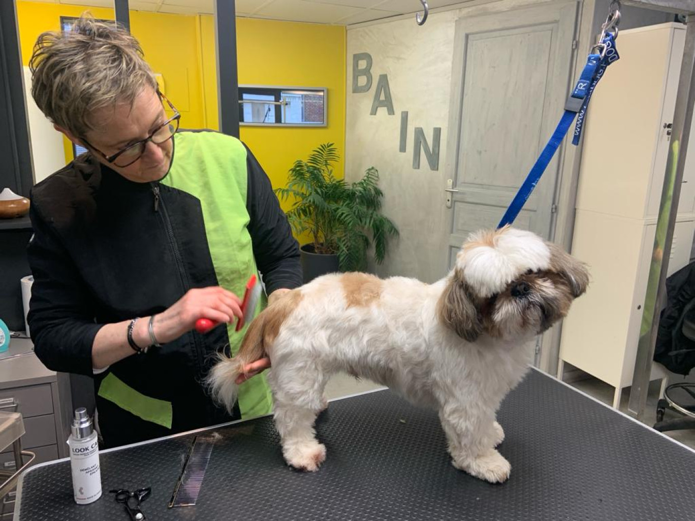 Le salon "Au Look Canin", basé à Beauvais, utilise les produits de la marque.