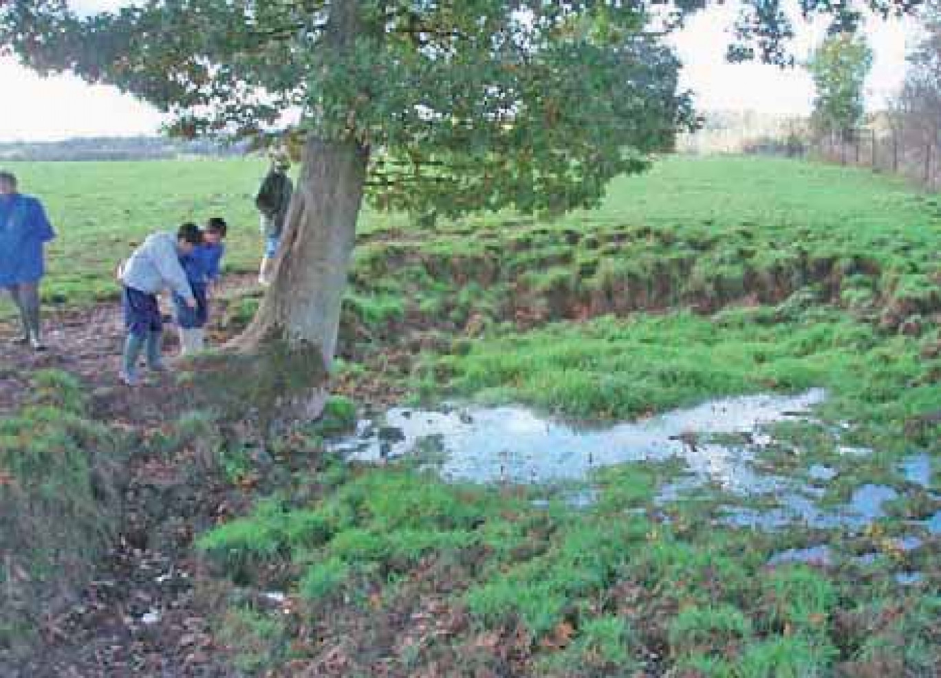 Les chercheurs de l’Adrée suivent les programmes de protection de l’environnement dans l’Aisne.