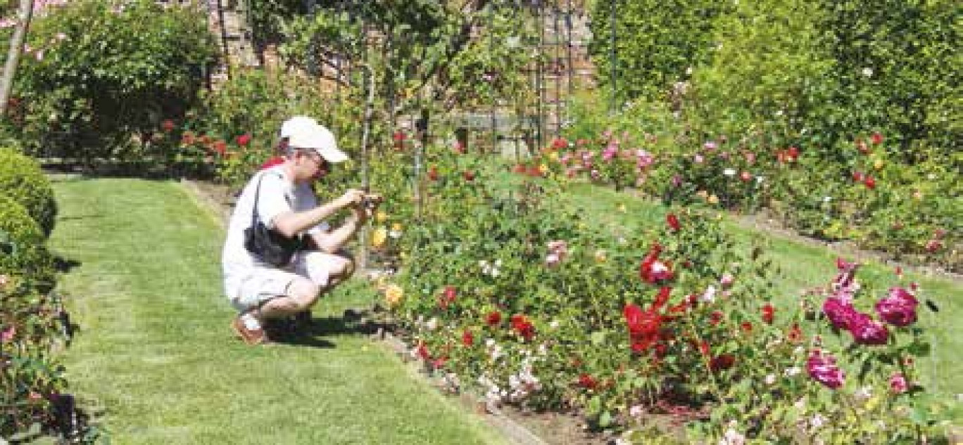 La roseraie compte 510 variétés de roses anciennes et récentes.