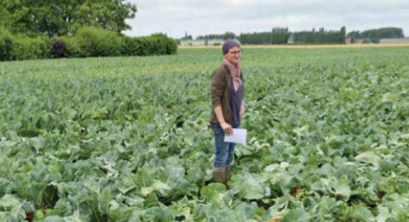 Anne Coupet, à Richebourg (Pas-de-Calais), produit des céréales et betteraves en grandes cultures et cultive des légumes destinés au marché du frais ainsi qu’à l’industrie.