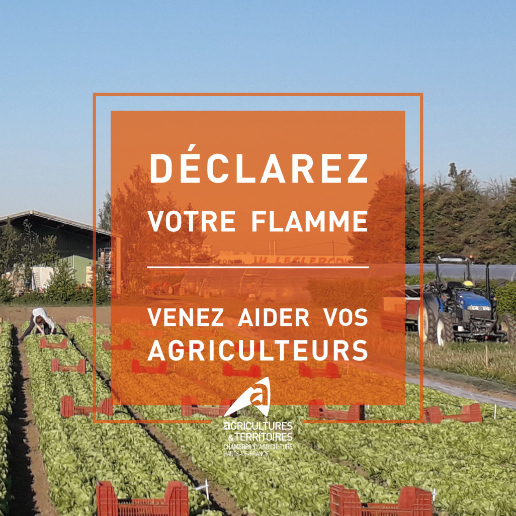 Les Chambres d’agriculture des Hauts-de-France solidaires et mobilisées